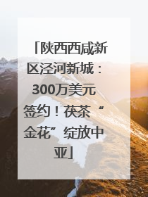 陕西西咸新区泾河新城：300万美元签约！茯茶“金花”绽放中亚